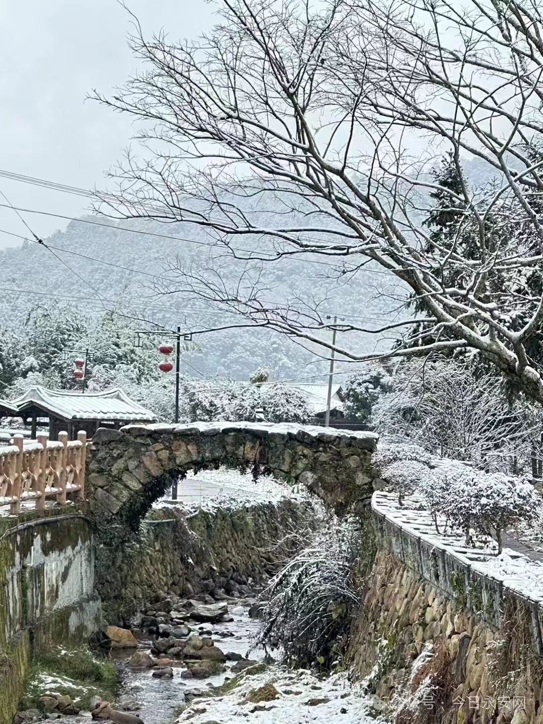 2024年永安市河湖雪景美翻了！ _ 工作动态 _ 永安市人民政府门户网站